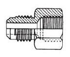 55976