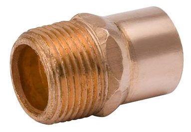 54204