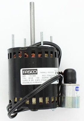 62491
